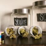 Свойства и применение семян конопли img-1103.jpg