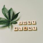 Цены на спайсы и курительные смеси img-1496.jpg