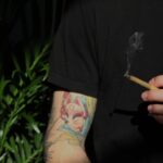 Сорт конопли White Widow от Nirvana Seeds описание и особенности выращивания img-2311.jpg