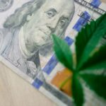 Конопля в зернах полезные свойства и применение img-266.jpg