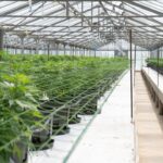 Наркозависимость в Тюмени img-2725.jpg