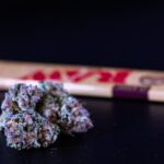 Листья марихуаны свойства и использование img-816.jpg