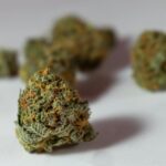 Полезные свойства конопляных семян и их использование в кулинарии img-924.jpg