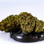 Семена конопли OG Kush feminised от Dinafem Seeds img-973.jpg